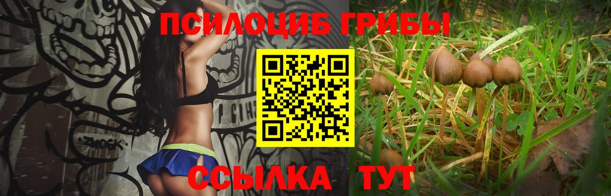 Галлюциногенные грибы мицелий Дальнегорск